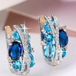 NWT Gorgeous Blue White Cubic Zirconia Paved Elegant Earrings